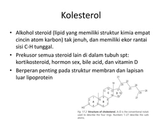 Kolesterol
• Alkohol steroid (lipid yang memiliki struktur kimia empat
cincin atom karbon) tak jenuh, dan memiliki ekor rantai
sisi C-H tunggal.
• Prekusor semua steroid lain di dalam tubuh spt:
kortikosteroid, hormon sex, bile acid, dan vitamin D
• Berperan penting pada struktur membran dan lapisan
luar lipoprotein
 