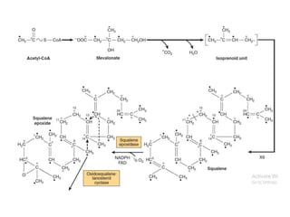 lipid I.pptx