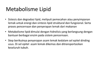 Metabolisme Lipid
• Sistesis dan degradasi lipid, meliputi pemecahan atau penyimpanan
lemak untuk energi dan sintesis lipid struktural dan fungsional. Serta
proses pencernaan dan penyerapan lemak dari makanan
• Metabolisme lipid dimulai dengan hidrolisis yang berlangsung dengan
bantuan berbagai enzim pada sistem pencernaan.
• Step berikutnya penyerapan asam lemak kedalam sel epitel dinding
usus. Di sel epitel asam lemak dikemas dan ditransportasikan
keseluruh tubuh.
 