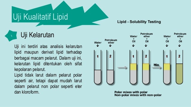 LIPID