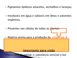 Pigmentos lipídicos amarelos, vermelhos e laranjas. Insolúveis em água e solúveis em óleos e solventes orgânicos.  Presentes nas células de todas as plantas. Matéria-prima para a produção da  vitamina A Importante para visão Precursora do retinal  ->  substância sensível à luz presente na retina dos olhos dos vertebrados. 