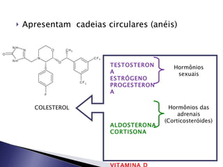 Apresentam  cadeias circulares (anéis) COLESTEROL TESTOSTERONA ESTRÓGENO PROGESTERONA ALDOSTERONA CORTISONA VITAMINA D Hormônios sexuais Hormônios das adrenais (Corticosteróides) 