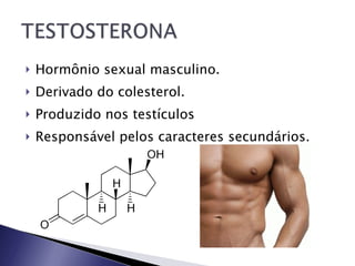 Hormônio sexual masculino. Derivado do colesterol. Produzido nos testículos Responsável pelos caracteres secundários. 