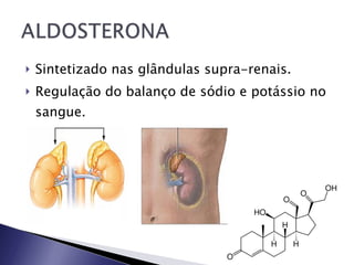 Sintetizado nas glândulas supra-renais.  Regulação do balanço de sódio e potássio no sangue. 