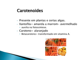 Carotenoides

•   Presente em plantas e certas algas.
•   Xantofila= amarela a marrom- avermelhado
    • auxilia na fotossíntese.
•   Caroteno= alaranjado
    • Betacaroteno= transformado em vitamina A.
 
