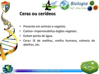Ceras ou cerídeos

•   Presente em animais e vegetais.
•   Cutina= impermeabiliza órgãos vegetais.
•   Evitam perda de água.
•   Cera= lã de ovelhas, orelha humana, colmeia de
    abelhas, etc.
 