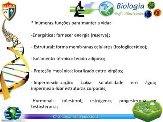 * Inúmeras funções para manter a vida:

-Energética: fornecer energia (reserva);

- Estrutural: forma membranas celulares (fosfoglicerídeo);

-Isolamento térmico: tecido adiposo;

- Proteção mecânica: localizado entre órgãos;

- Impermeabilização:    baixa   solubilidade     em     água;
impermeabilizar estruturas corporais;

-Hormonal:    colesterol,    estrógeno,     progesterona     e
testosterona;
 