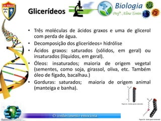 Glicerídeos

• Três moléculas de ácidos graxos e uma de glicerol
  com perda de água.
• Decomposição dos glicerídeos= hidrólise
• Ácidos graxos: saturados (sólidos, em geral) ou
  insaturados (líquidos, em geral).
• Óleos: insaturados; maioria de origem vegetal
  (sementes, como soja, girassol, oliva, etc. Também
  óleo de fígado, bacalhau.)
• Gorduras: saturados; maioria de origem animal
  (manteiga e banha).
 