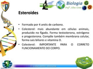 Esteroides

• Formado por 4 anéis de carbono.
• Colesterol: mais abundante em células animais,
  produzido no fígado. Forma testosterona, estrógeno
  e progesterona. Compõe também membrana celular,
  forma sais biliares e vitamina D.
• Colesterol: IMPORTANTE PARA O CORRETO
  FUNCIONAMENTO DO CORPO.
 