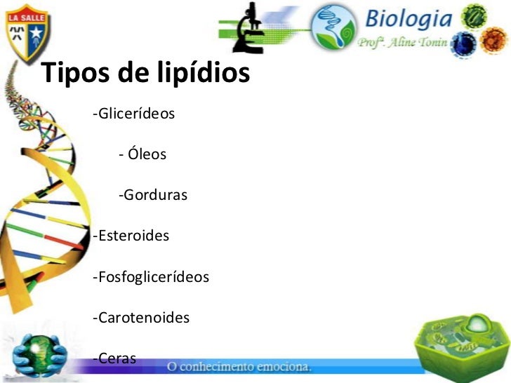 Dois Tipos De Lipídios Contidos No Organismo Humano