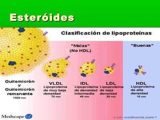 Esteróides
 