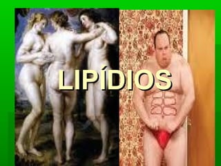 LIPÍDIOS
 