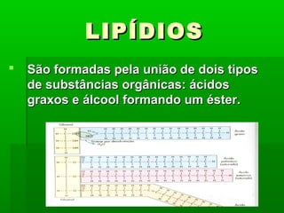LIPÍDIOS
   São formadas pela união de dois tipos
    de substâncias orgânicas: ácidos
    graxos e álcool formando um éster.
 