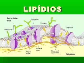 LIPÍDIOS
 