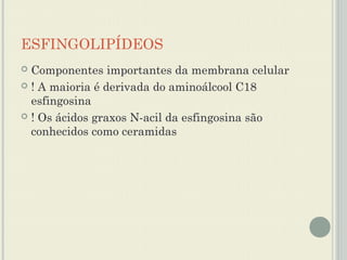 ESFINGOLIPÍDEOS
 Componentes importantes da membrana celular
 ! A maioria é derivada do aminoálcool C18
  esfingosina
 ! Os ácidos graxos N-acil da esfingosina são
  conhecidos como ceramidas
 