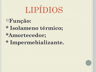 LIPÍDIOS
Função:

* Isolameno térmico;
*Amortecedor;
* Impermebializante.
 