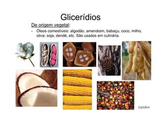 Glicerídios
De origem vegetal:
- Óleos comestíveis: algodão, amendoim, babaçu, coco, milho,
oliva, soja, dendê, etc. São usados em culinária.
Lipídios
 