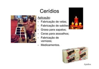 Cerídios
Aplicação:
- Fabricação de velas;
- Fabricação de sabões;
- Graxa para sapatos;
- Ceras para assoalhos;
- Fabricação de
vernizes;
- Medicamentos.
Lipídios
 