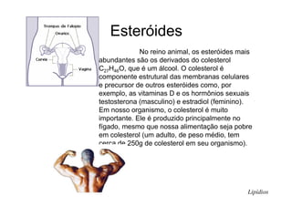 Esteróides
No reino animal, os esteróides mais
abundantes são os derivados do colesterol
C27H46O, que é um álcool. O colesterol é
componente estrutural das membranas celulares
e precursor de outros esteróides como, por
exemplo, as vitaminas D e os hormônios sexuais
testosterona (masculino) e estradiol (feminino).
Em nosso organismo, o colesterol é muito
importante. Ele é produzido principalmente no
fígado, mesmo que nossa alimentação seja pobre
em colesterol (um adulto, de peso médio, tem
cerca de 250g de colesterol em seu organismo).
Lipídios
 