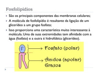 Fosfolipídios
 São os principais componentes das membranas celulares;
 A molécula de fosfolipídio é resultante da ligação de um
glicerídeo a um grupo fosfato;
 Isso proporciona uma característica muito interessante à
molécula. Uma de suas extremidades tem afinidade com a
água (fosfato) e a outra é hidrofóbica (glicerídeo).
 