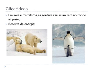 Clicerídeos
 Em aves e mamíferos, as gorduras se acumulam no tecido
adiposo;
 Reserva de energia;
 
