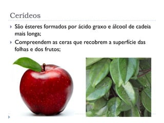 Cerídeos
 São ésteres formados por ácido graxo e álcool de cadeia
mais longa;
 Compreendem as ceras que recobrem a superfície das
folhas e dos frutos;
 