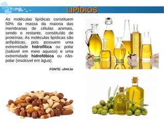 LIPÍDIOSLIPÍDIOS
As moléculas lipídicas constituem
50% da massa da maioria das
membranas de células animais,
sendo o restante, constituído de
proteínas. As moléculas lipídicas são
anfipáticas, pois possuem uma
extremidade hidrofílica ou polar
(solúvel em meio aquoso) e uma
extremidade hidrofóbica ou não-
polar (insolúvel em água).
FONTE: ufmt.br
 