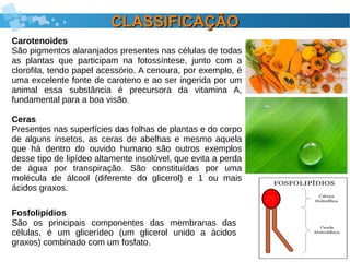 CLASSIFICAÇÃOCLASSIFICAÇÃO
Carotenoides
São pigmentos alaranjados presentes nas células de todas
as plantas que participam na fotossíntese, junto com a
clorofila, tendo papel acessório. A cenoura, por exemplo, é
uma excelente fonte de caroteno e ao ser ingerida por um
animal essa substância é precursora da vitamina A,
fundamental para a boa visão.
Ceras
Presentes nas superfícies das folhas de plantas e do corpo
de alguns insetos, as ceras de abelhas e mesmo aquela
que há dentro do ouvido humano são outros exemplos
desse tipo de lipídeo altamente insolúvel, que evita a perda
de água por transpiração. São constituídas por uma
molécula de álcool (diferente do glicerol) e 1 ou mais
ácidos graxos.
Fosfolipídios
São os principais componentes das membranas das
células, é um glicerídeo (um glicerol unido a ácidos
graxos) combinado com um fosfato.
 