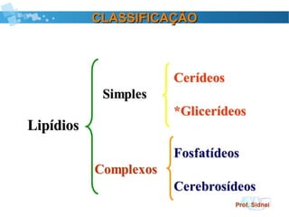 CLASSIFICAÇÃOCLASSIFICAÇÃO
 