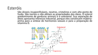 propriedade do lipidios: mostra as caracteristicas físicas e químicas ...