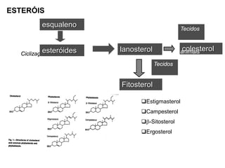 LIPIDIOS.pdf. aula bromaotologia sobre lipideos | PDF