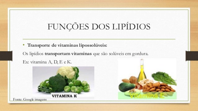 Lipidios