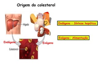 Origem do colesterol



                                  Endógeno – Síntese hepática




                                  Exógeno- Alimentação
Endógeno                Exógeno
 