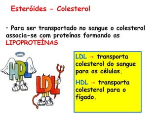 Esteróides - Colesterol

• Para ser transportado no sangue o colesterol
associa-se com proteínas formando as
LIPOPROTEÍNAS

                       LDL → transporta
                       colesterol do sangue
                       para as células.
                       HDL → transporta
                       colesterol para o
                       fígado.
 