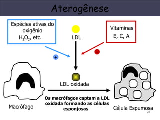 Aterogênese
Espécies ativas do
    oxigênio                               Vitaminas
   H2O2, etc.                LDL            E, C, A

                                       -
                     +




                         LDL oxidada

              Os macrófagos captam a LDL
              oxidada formando as células
Macrófago            esponjosas           Célula Espumosa
                                                       26
 