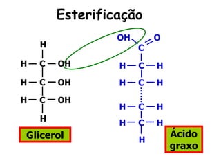Esterificação
                 OH       O
    H                 C
H   C   OH       H    C   H
H   C   OH       H    C   H

H   C   OH
                 H    C   H
    H            H    C   H
Glicerol                      Ácido
                      H
                              graxo
 