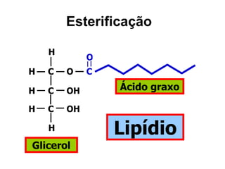 Esterificação

    H
             O
H   C   O    C

H   C   OH       Ácido graxo

H   C   OH

    H            Lipídio
Glicerol
 