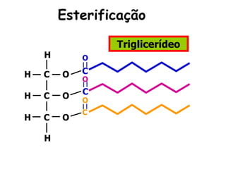 Esterificação

                Triglicerídeo
    H       O

H   C   O   C
            O

H   C   O   C
            O
            C
H   C   O

    H
 