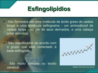 Fonte: http://www.enq.ufsc.br
EsfingolipídiosEsfingolipídios
São formados por uma molécula de ácido graxo de cadeia
longa a uma molécula esfingosina - um aminoálcool de
cadeia longa - ou um de seus derivados, e uma cabeça
polar alcoólica.
São muito comuns no tecido
cerebral;
São classificados de acordo com
o grupo que está conectado à
base esfingóide;
 
