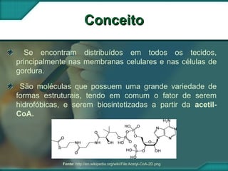 ConceitoConceito
Se encontram distribuídos em todos os tecidos,
principalmente nas membranas celulares e nas células de
gordura.
São moléculas que possuem uma grande variedade de
formas estruturais, tendo em comum o fator de serem
hidrofóbicas, e serem biosintetizadas a partir da acetil-
CoA.
Fonte: http://en.wikipedia.org/wiki/File:Acetyl-CoA-2D.png
 