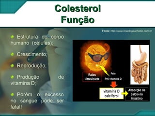 ColesterolColesterol
FunçãoFunção
Fonte: http://www.ricardogauchobio.com.br
 
