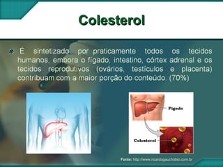 ColesterolColesterol
Fonte: http://www.ricardogauchobio.com.br
 
