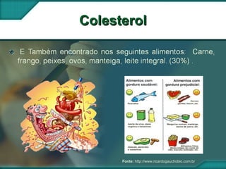 ColesterolColesterol
Fonte: http://www.ricardogauchobio.com.br
 