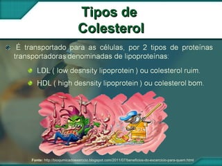 Tipos deTipos de
ColesterolColesterol
Fonte: http://bioqumicadoexerccio.blogspot.com/2011/07/beneficios-do-excercicio-para-quem.html
 