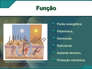 FunçãoFunção
Fonte energética,
Vitamínica,
Hormonal,
Estrutural,
Isolante térmico,
Proteção mecânica.Fonte: http://en.wikipedia.org/wiki/File:Acetyl-CoA-2D.png
 