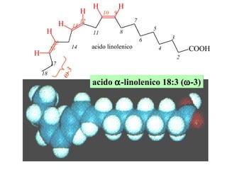 2 4 6 8 3 5 7 9 10 11 13 12 14 15 16 17 18  -3 acido linolenico acido   -linolenico 18:3 (  -3) 