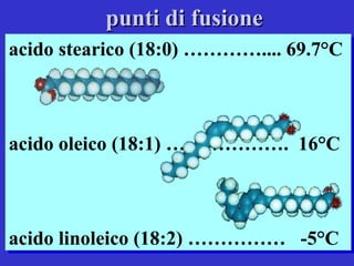 acido stearico (18:0) ………….... 69.7°C acido oleico (18:1) ……………….  16°C acido linoleico (18:2) ……………  -5°C punti di fusione 