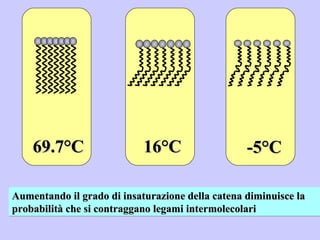 69.7°C 16°C -5°C Aumentando il grado di insaturazione della catena diminuisce la probabilità che si contraggano legami intermolecolari 