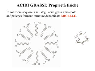 ACIDI GRASSI: Proprietà fisiche In soluzioni acquose, i sali degli acidi grassi (molecole anfipatiche) formano strutture denominate  MICELLE . 