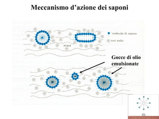 Meccanismo d’azione dei saponi Gocce di olio emulsionate 
